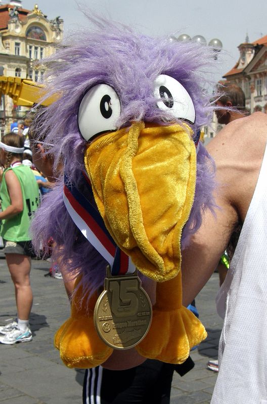 ptacnik.jpg - I pták získal medaily.