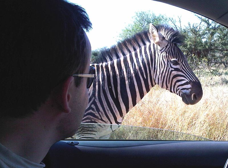 IMG00040-20100607-1103.jpg - Důkaz místo slibů