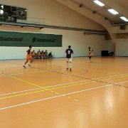 883864 10151837894819676 1936527247 o